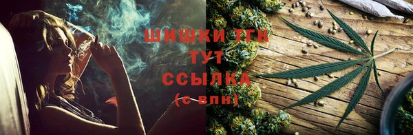 ешки Богданович