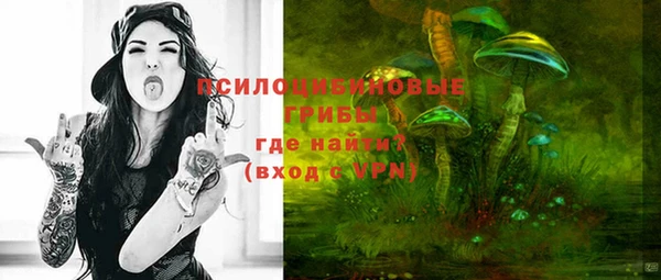 ешки Богданович