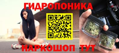 мдпв Ипатово