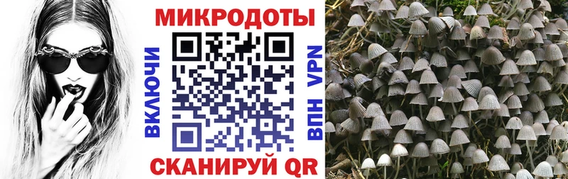 Галлюциногенные грибы GOLDEN TEACHER Майкоп