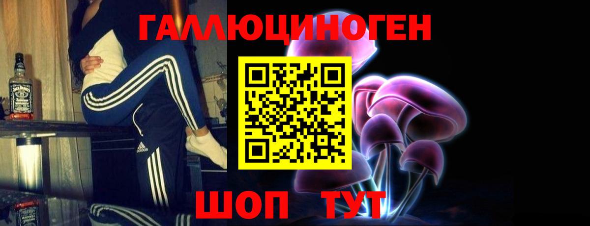Галлюциногенные грибы Cubensis  Вход с VPN  Майкоп 